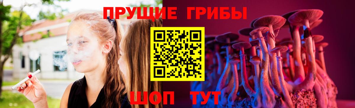 Псилоцибиновые грибы MAGIC MUSHROOMS Калининград